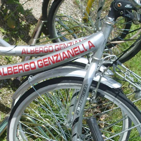 Genzianella 3*