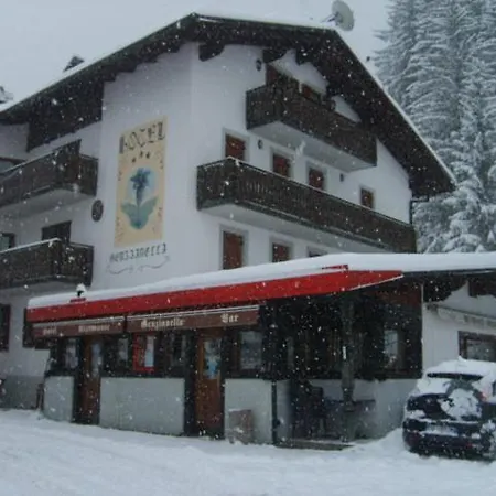 Genzianella 3* Presenaio