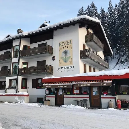 Hotel Genzianella 3*