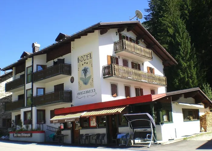 Genzianella 3* Presenaio