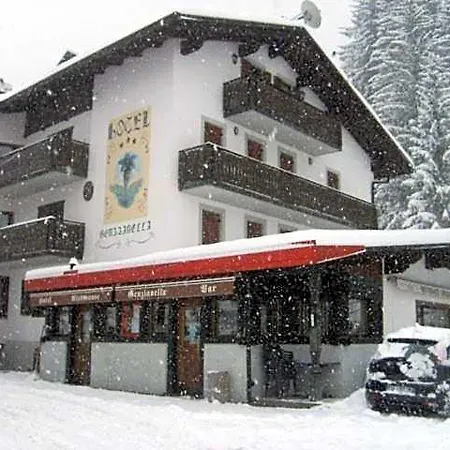 Genzianella Hotel Presenaio